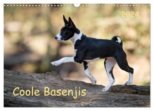 Joswig, Angelika. Coole Basenjis (Wandkalender 2024 DIN A3 quer), CALVENDO Monatskalender - BASENJI - die ganz besondere Hunderasse. Calvendo, 2023.