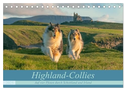 Highland-Collies - Auf vier Pfoten durch Schottland und Irland (Tischkalender 2025 DIN A5 quer), CALVENDO Monatskalender