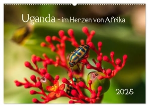 Bethke, Barbara. Uganda - im Herzen von Afrika (Wandkalender 2025 DIN A2 quer), CALVENDO Monatskalender - Reise durch ein wunderschönes zentrales afrikanisches Land.. Calvendo, 2024.