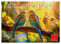 Wellensittiche farbenfroh und munter (Wandkalender 2024 DIN A2 quer), CALVENDO Monatskalender