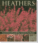 Heathers