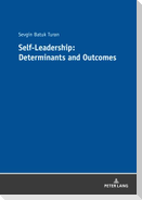 Self-Leadership: Determinants and Outcomes