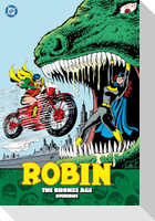 Robin: The Bronze Age Omnibus (New Edition)