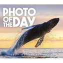 Photo of the Day - Foto des Tages 2027
