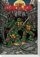Teenage Mutant Ninja Turtles: The Ultimate Collection, Vol. 1