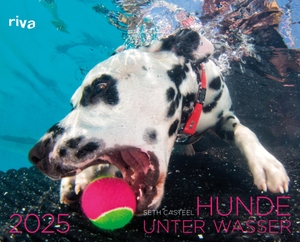 Casteel, Seth. Hunde unter Wasser 2025 - Wandkalender. Mit 12 einzigartigen Fotografien. Tolles Geschenk für alle Hundebesitzer, Hundeliebhaber zu Weihnachten, Geburtstag. riva Verlag, 2024.