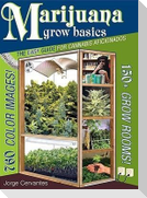 Marijuana Grow Basics
