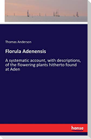 Florula Adenensis