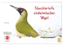 Steckbriefe einheimischer Vögel (Wandkalender 2024 DIN A3 quer), CALVENDO Monatskalender