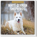 White German Shepherds - Weißer Deutscher Schäferhund 2027 - 16-Monatskalender