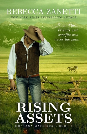 Zanetti, Rebecca. Rising Assets. Amazon Digital Services LLC - Kdp, 2025.