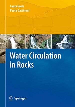 Gattinoni, Paola / Laura Scesi. Water Circulation in Rocks. Springer Netherlands, 2016.