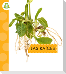 Las Raíces