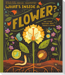 What's Inside a Flower?