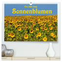 Ein Jahr lang Sonnenblumen (hochwertiger Premium Wandkalender 2024 DIN A2 quer), Kunstdruck in Hochglanz