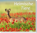 times&more Heimische Tiere Bildkalender 2026