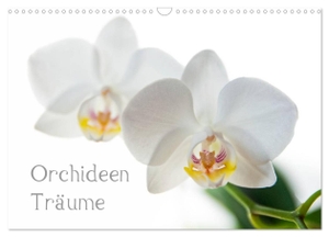Cmarits, Hannes. Orchideen Träume (Wandkalender 2024 DIN A3 quer), CALVENDO Monatskalender - Fotografien von Orchideen. Calvendo, 2023.