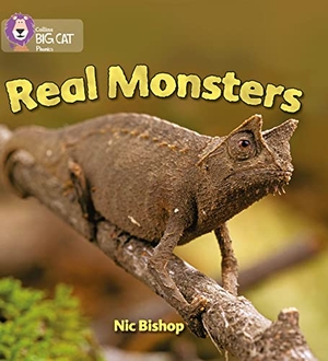Bishop, Nic. Real Monsters - Band 03/Yellow. HarperCollins Publishers, 2006.