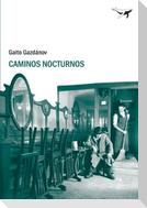 Caminos nocturnos