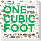 A World in One Cubic Foot