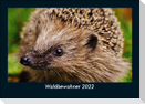 Waldbewohner 2022 Fotokalender DIN A5