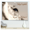 Galgo eye-catcher (hochwertiger Premium Wandkalender 2024 DIN A2 quer), Kunstdruck in Hochglanz