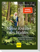 Meine Kräuter des Waldes