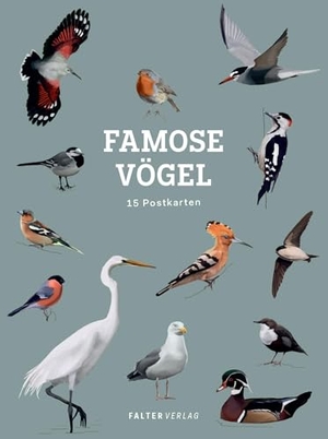 Famose Vögel - Postkartenbuch - 15 Postkarten. Falter Verlag, 2024.