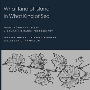 Fühmann, Franz. What Kind of Island in What Kind of Sea?. Univ of Chicago Behalf of U of Michigan Press, 2022.