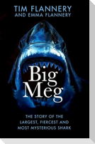 Big Meg