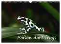 Poison dart frogs / UK-Version / Birthday Calendar (Wall Calendar 2024 DIN A3 landscape), CALVENDO 12 Month Wall Calendar