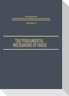 The Fundamental Mechanisms of Shock