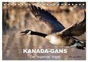 KANADA-GANS - Der 'hupende' Vogel (Tischkalender 2025 DIN A5 quer), CALVENDO Monatskalender