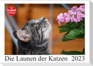 Die Launen der Katzen 2023 (Wandkalender 2023 DIN A2 quer)