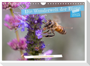 Die Wunderwelt der Biene (Wandkalender 2025 DIN A4 quer), CALVENDO Monatskalender