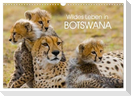 Wildes Leben in Botswana (Wandkalender 2025 DIN A3 quer), CALVENDO Monatskalender