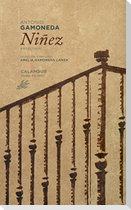 Niñez
