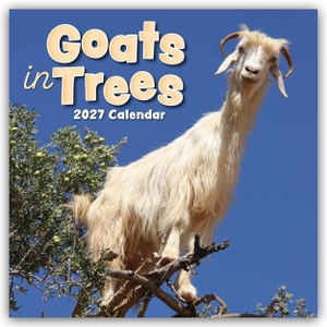 Gifted Stationery Co. Ltd. Goats in Trees - Ziegen auf Bäumen 2027 - 16-Monatskalender - Original Gifted Stationery-Kalender [Mehrsprachig] [Kalender]. Browntrout Verlags GmbH, 2026.