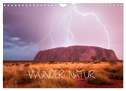 Wunder Natur II (Wandkalender 2024 DIN A4 quer), CALVENDO Monatskalender
