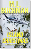 Island Christmas: an NTSB origin story