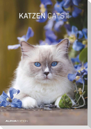 Katzen 2025 - Bildkalender 23,7x34 cm - Kalender mit Platz für Notizen - mit vielen Zusatzinformationen - Cats - Wandkalender - Alpha Edition