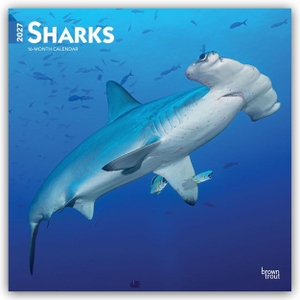 Publishers, Browntrout. Sharks - Haie 2027 - 16-Monatskalender - Original BrownTrout-Kalender [Mehrsprachig] [Kalender]. Browntrout Verlags GmbH, 2026.
