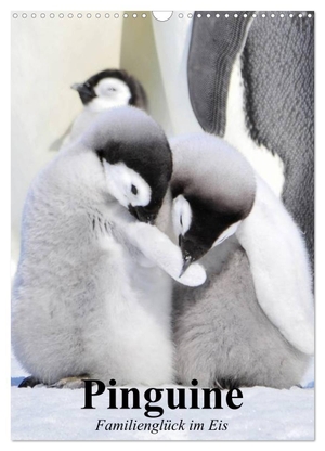 Stanzer, Elisabeth. Pinguine. Familienglück im Eis (Wandkalender 2024 DIN A3 hoch), CALVENDO Monatskalender - Pinguine in ihrem natürlichen Lebensraum. Calvendo Verlag, 2023.