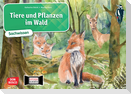 Tiere und Pflanzen im Wald. Kamishibai Bildkartenset