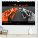 strucTEMs Mikrowelt - Winzige Nachbarn ganz groß (Premium, hochwertiger DIN A2 Wandkalender 2023, Kunstdruck in Hochglanz)