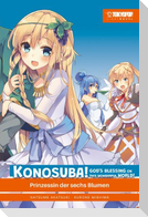 Konosuba! God's Blessing On This Wonderful World! Light Novel 06