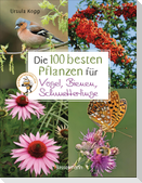Die 100 besten Pflanzen für Vögel, Bienen, Schmetterlinge