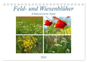 Feld- und Wiesenblüher Schützenswerte Natur (Tischkalender 2024 DIN A5 quer), CALVENDO Monatskalender