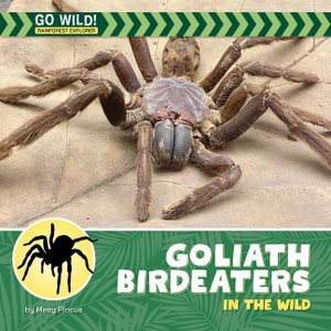 Pincus, Meeg. Goliath Birdeaters in the Wild. Cherry Lake Publishing, 2026.