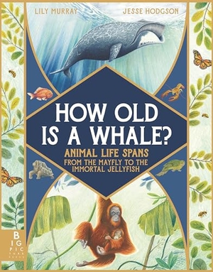 Murray, Lily. How Old Is a Whale? - Animal Life Spans from the Mayfly to the Immortal Jellyfish. Candlewick Press (MA), 2023.